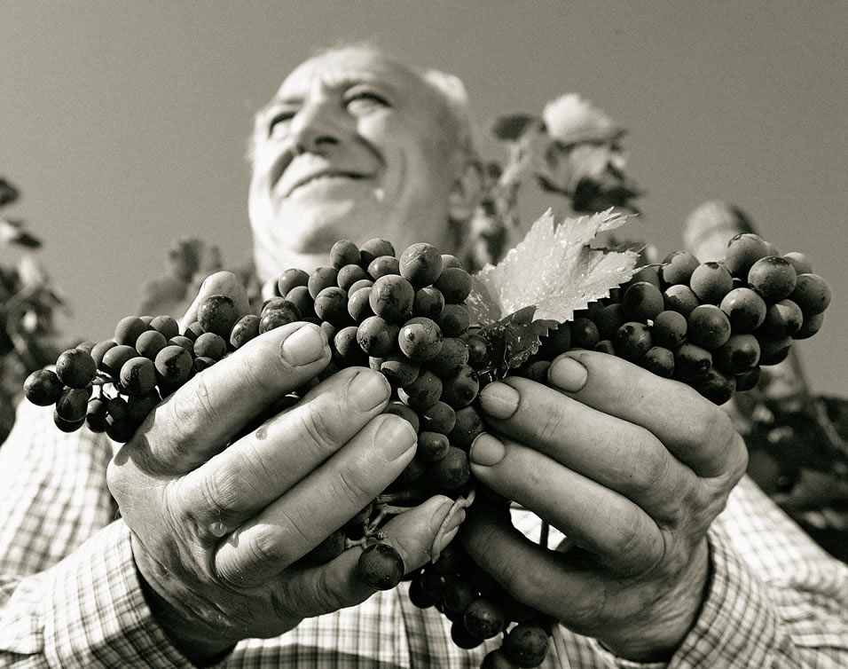 Degustazioni vini Toscani negli Usa | Manifestazioni New York e Chicago