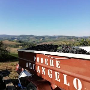 Poderi Arcangelo Winery